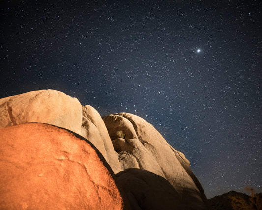 Desert Nights in Joshua Tree