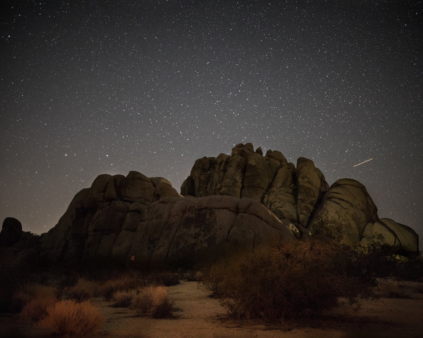 Joshua Tree Night Sky — Shooting Star