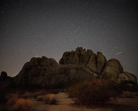 Joshua Tree Night Sky — Shooting Star